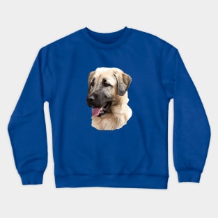 Kangal Shepherd Crewneck Sweatshirt